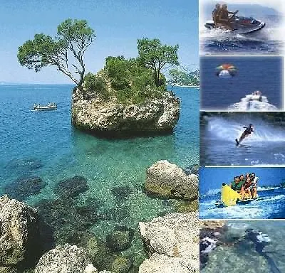Holiday Zezevica